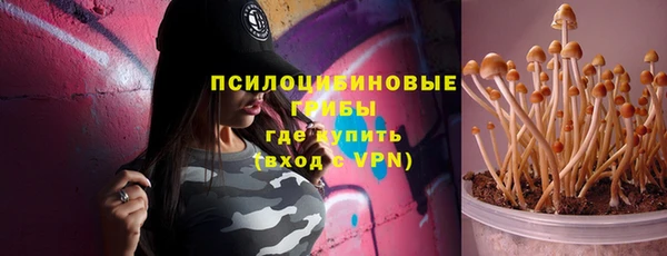 PSILOCYBIN Верея