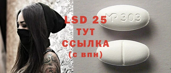 PSILOCYBIN Верея