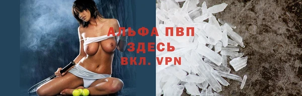 PSILOCYBIN Верея