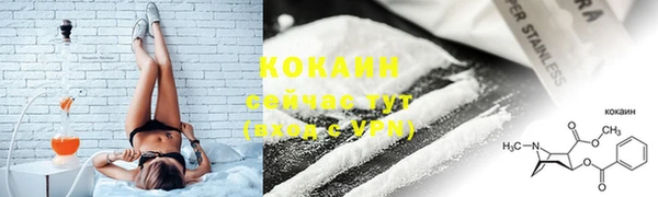 сатива Верхний Тагил